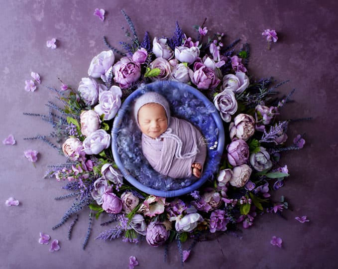 purple-flowers-Newborn-Composite-Image-GNS-Studio-Milton-ON-V2
